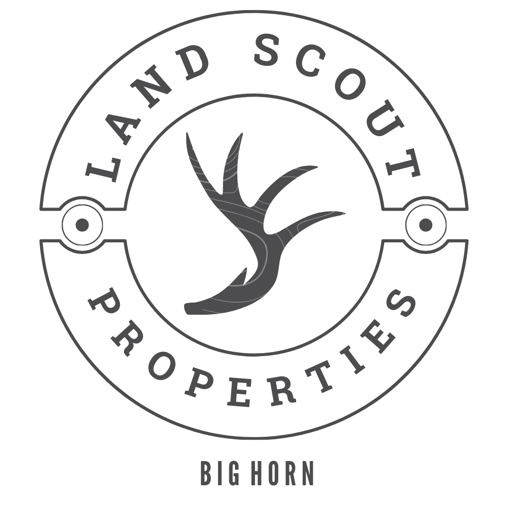 Camping with Coniferous Trees Silhouette Outdoor Logo