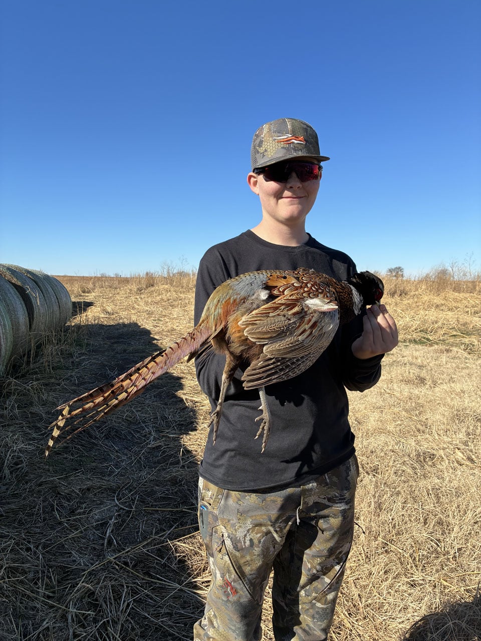 Upland GameBirds